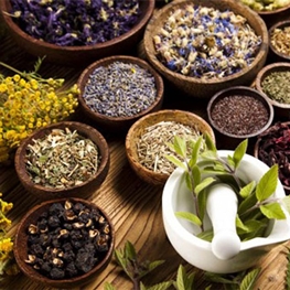 Herbs Of Himalayas