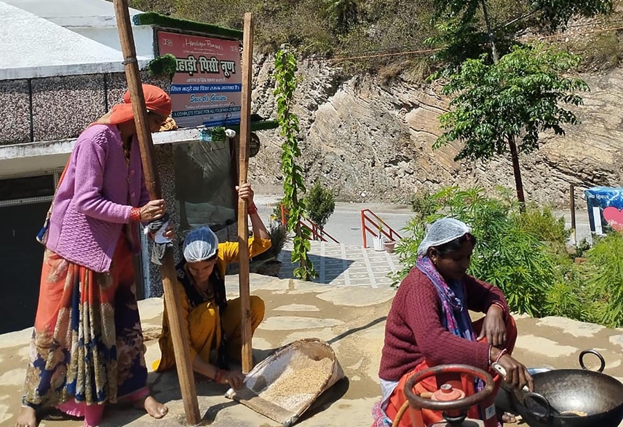 A Salt Revolution- Pahadi Peesi Noon